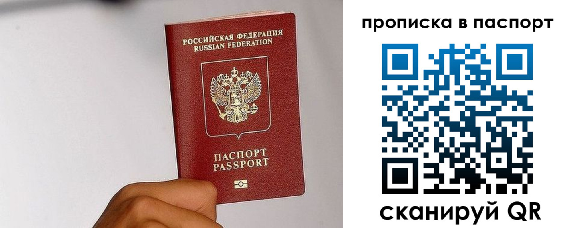 прописка для работы в Вязьме