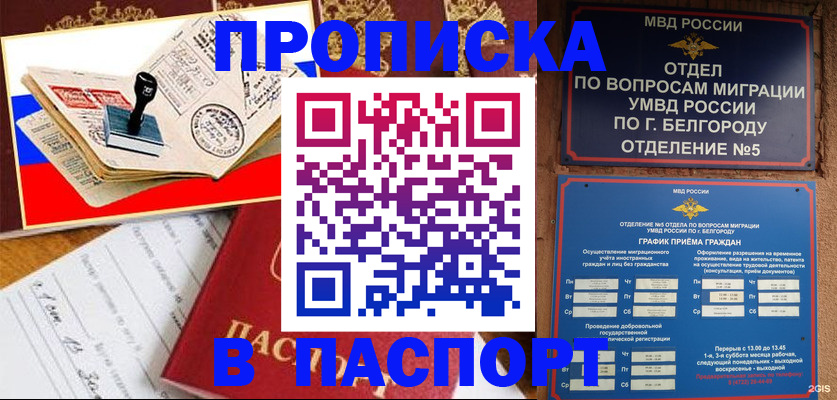 временная регистрация для всех в Вязьме
